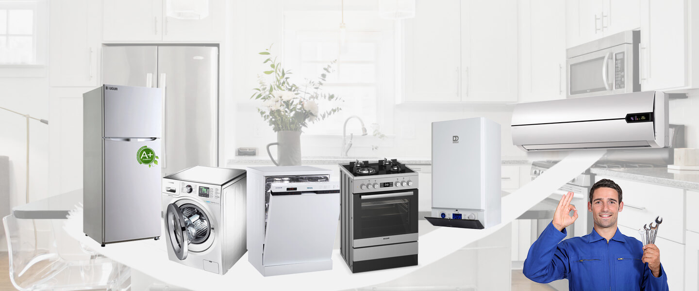 Taşlıçay Electrolux Servisi